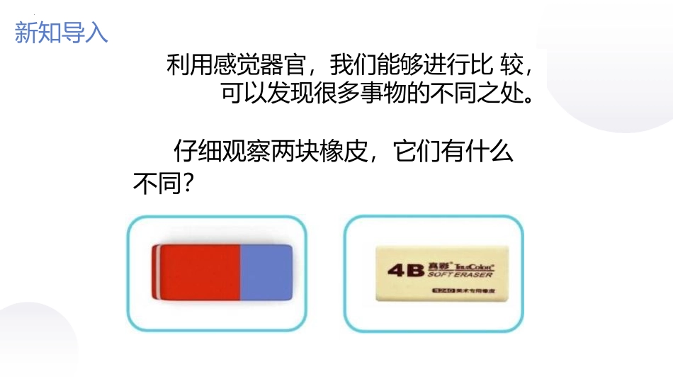 《观察与比较》PPT优质课件[教科版二年级科学下册]_第2页