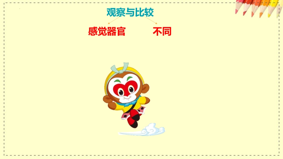 《观察与比较》PPT优秀课件[教科版二年级科学下册]_第2页
