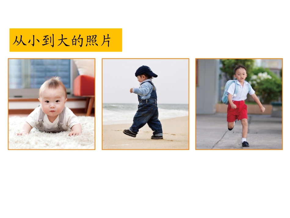 《发现生长》PPT教学课件[教科版二年级科学下册]_第3页