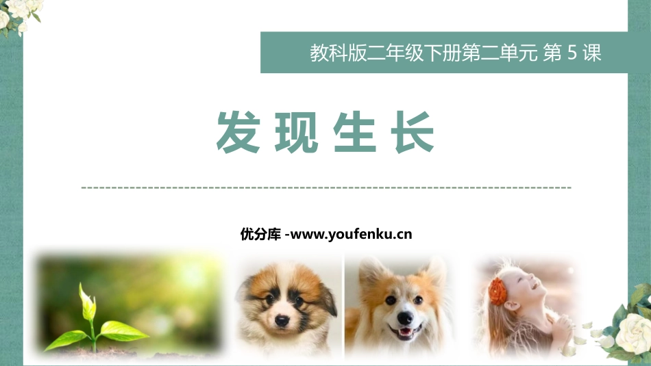《发现生长》PPT免费课件[教科版二年级科学下册]_第1页