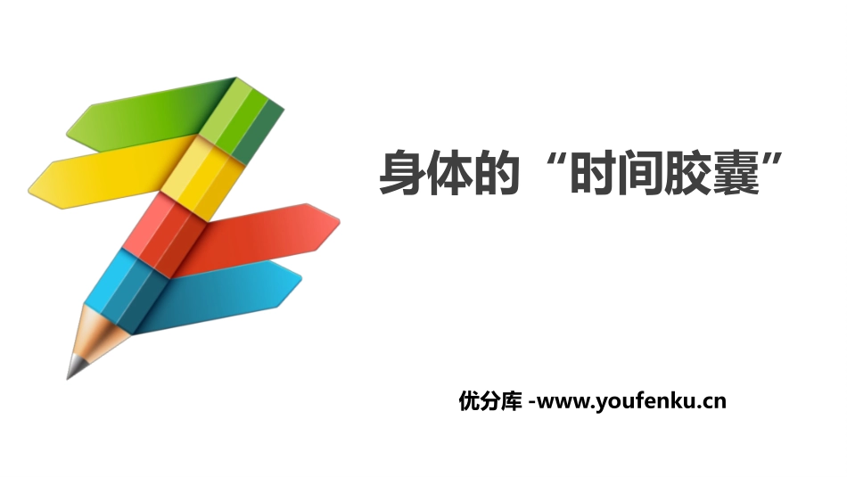 《身体的“时间胶囊”》PPT教学课件[教科版二年级科学下册]_第1页
