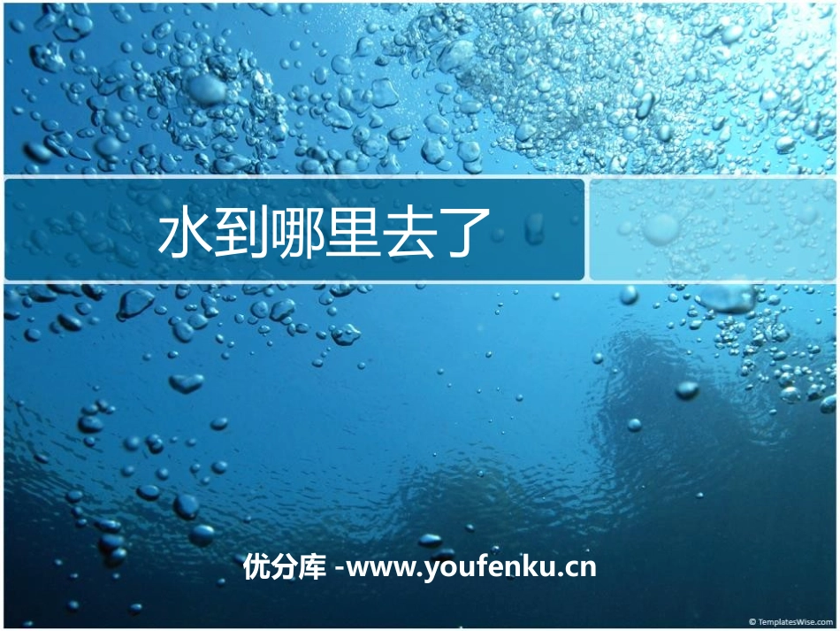 《水到哪里去了》PPT课件[教科版三年级科学上册]_第1页