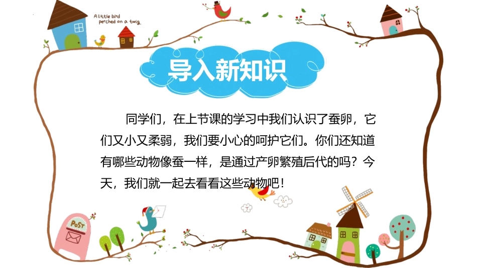 《认识其它动物的卵》PPT教学课件[教科版三年级科学下册]_第2页