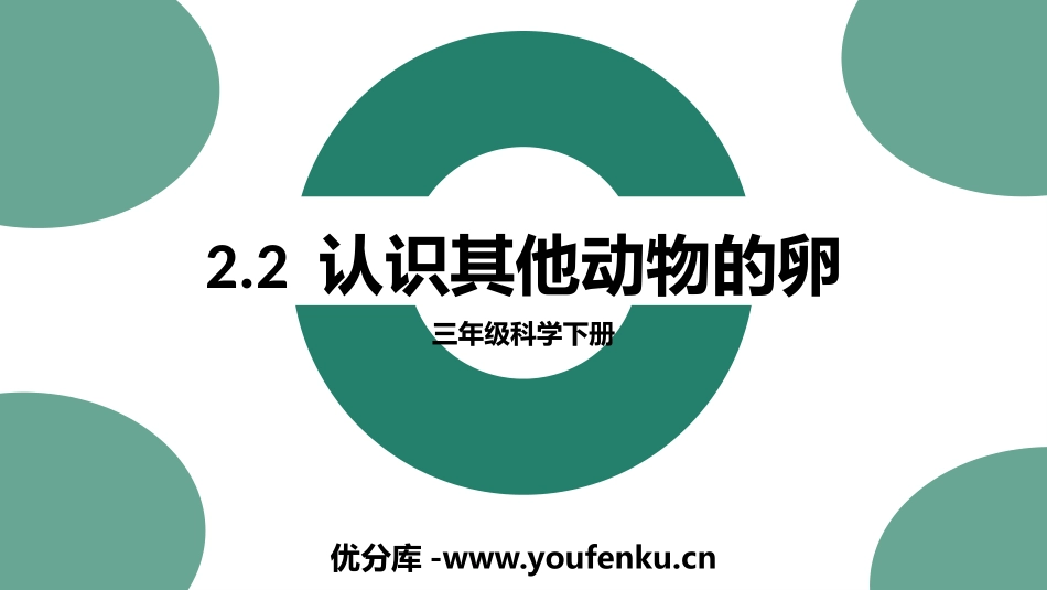 《认识其他动物的卵》PPT免费课件[教科版三年级科学下册]_第1页