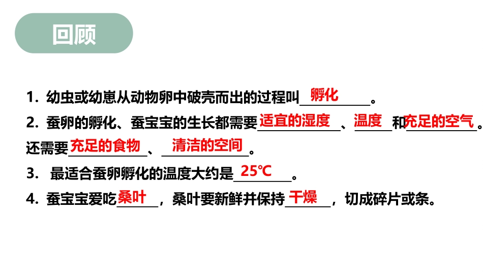 《认识其他动物的卵》PPT免费课件[教科版三年级科学下册]_第3页