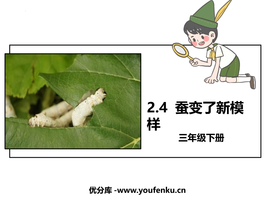 《蚕变了新模样》PPT教学课件[教科版三年级科学下册]_第1页