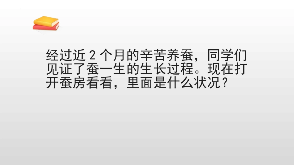 《蚕的一生》PPT免费课件[教科版三年级科学下册]_第2页