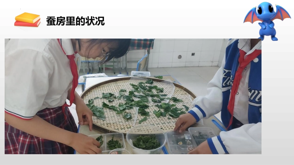 《蚕的一生》PPT免费课件[教科版三年级科学下册]_第3页