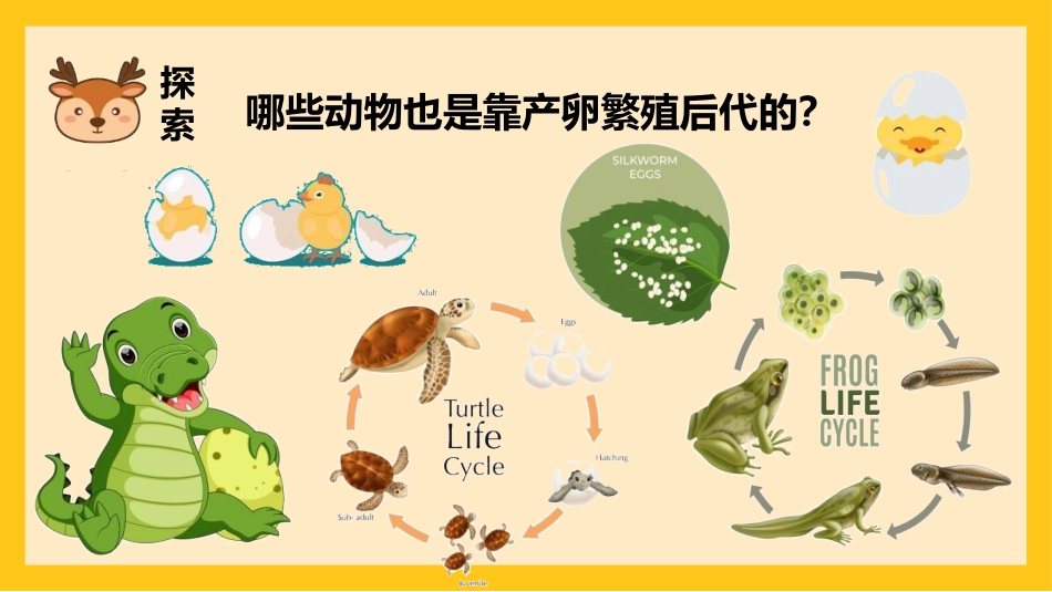 《动物的繁殖》PPT免费课件[教科版三年级科学下册]_第3页