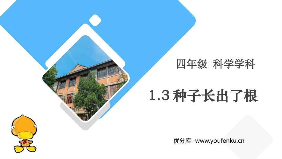 《种子长出了根》PPT课件[教科版四年级科学下册]_第1页