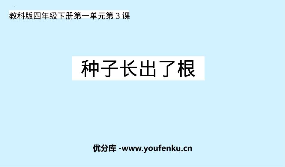 《种子长出了根》PPT课件[教科版四年级科学下册]_第1页