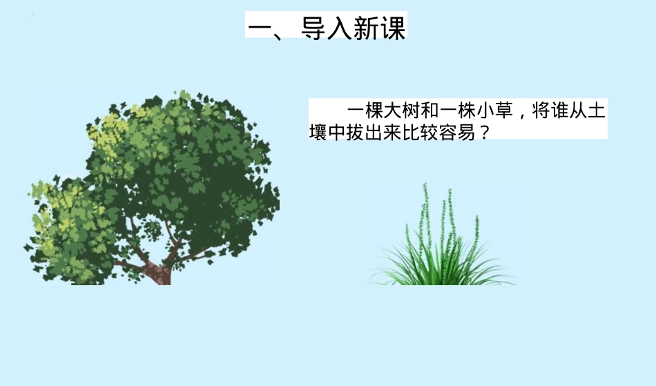 《种子长出了根》PPT课件[教科版四年级科学下册]_第2页