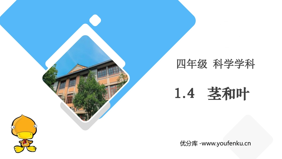《茎和叶》PPT课件[教科版四年级科学下册]_第1页
