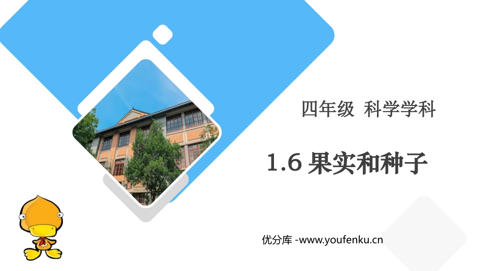 《果实和种子》PPT课件[教科版四年级科学下册]_第1页