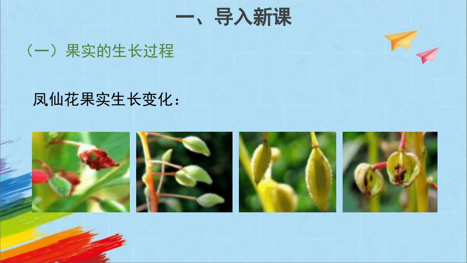 《果实和种子》PPT课件[教科版四年级科学下册]_第3页