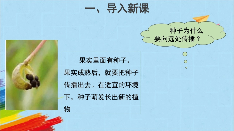 《种子的传播》PPT课件[教科版四年级科学下册]_第2页
