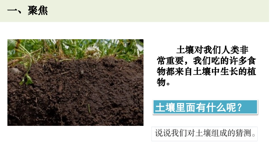 《观察土壤》PPT课件[教科版四年级科学下册]_第2页