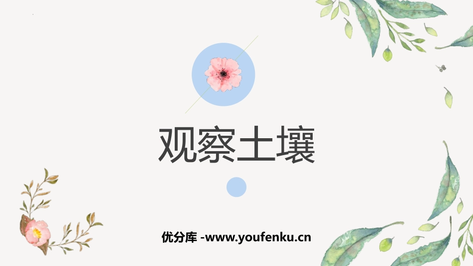 《观察土壤》PPT课件[教科版四年级科学下册]_第1页