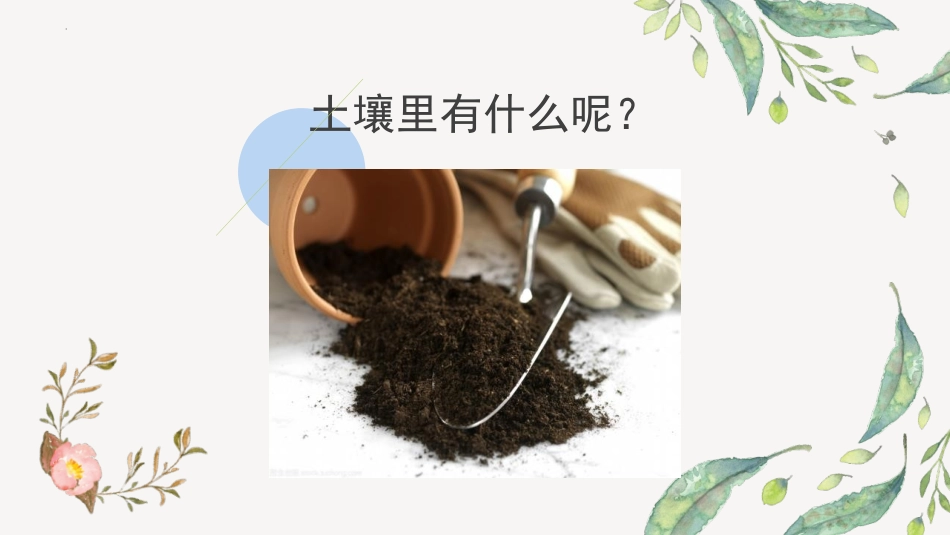 《观察土壤》PPT课件[教科版四年级科学下册]_第2页