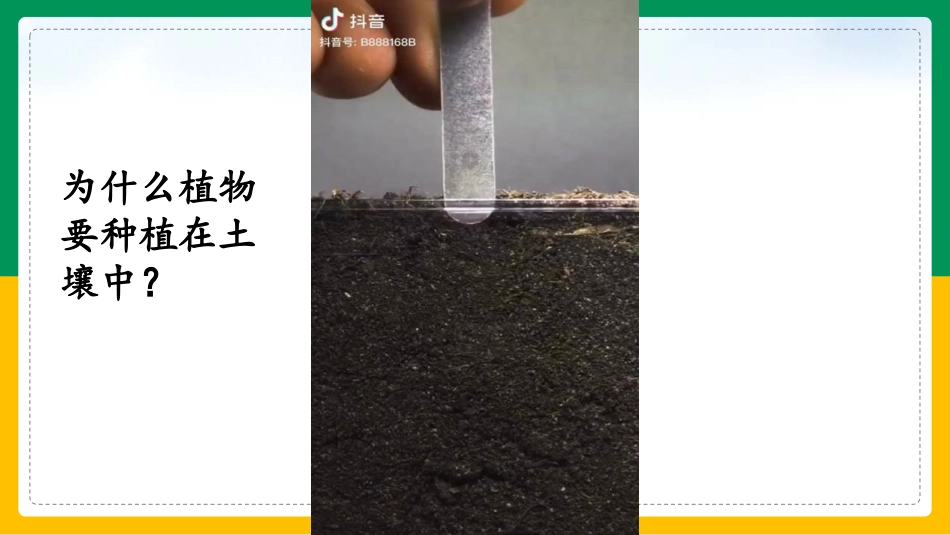 《观察土壤》PPT教学课件[教科版四年级科学下册]_第2页