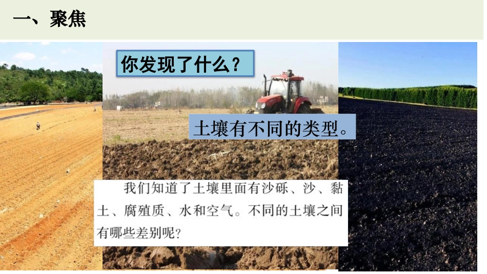 《比较土壤的不同》PPT课件[教科版四年级科学下册]_第2页
