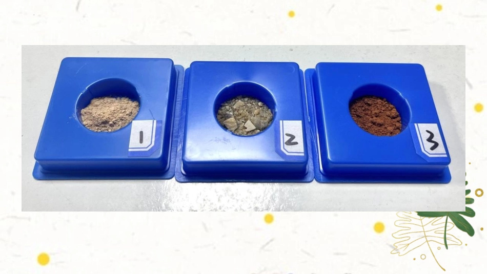 《比较土壤的不同》PPT课件[教科版四年级科学下册]_第3页