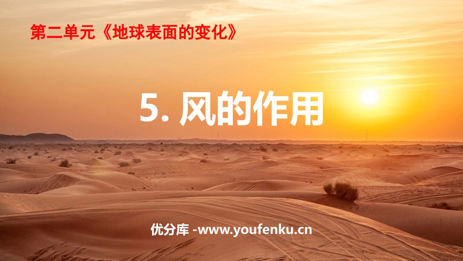 《风的作用》PPT课件[教科版五年级科学上册]_第1页