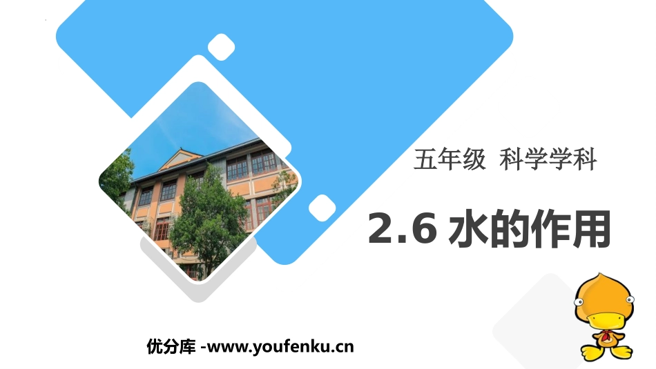 《水的作用》PPT课件[教科版五年级科学上册]_第1页
