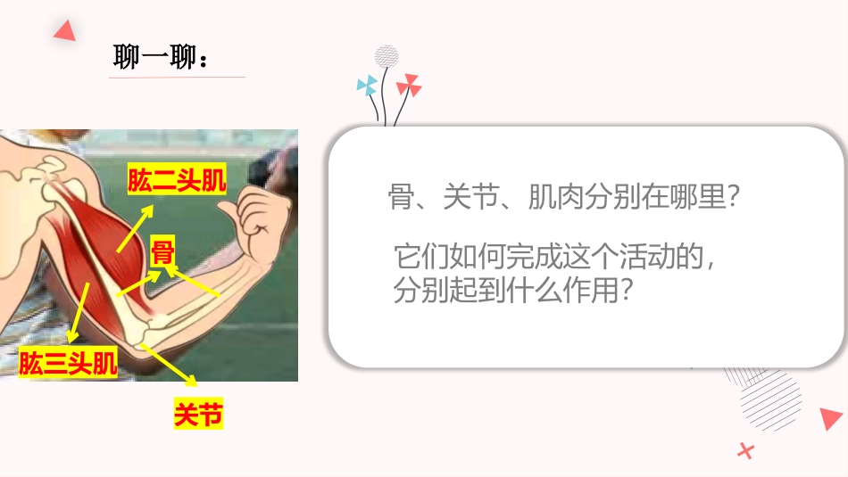 《身体的运动》PPT课件[教科版五年级科学上册]_第3页
