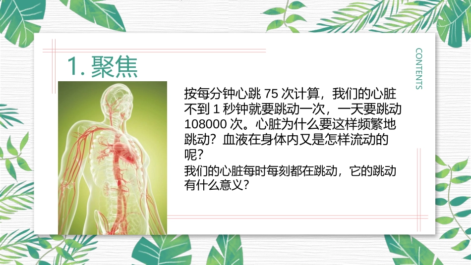 《心脏和血液》PPT课件[教科版五年级科学上册]_第2页