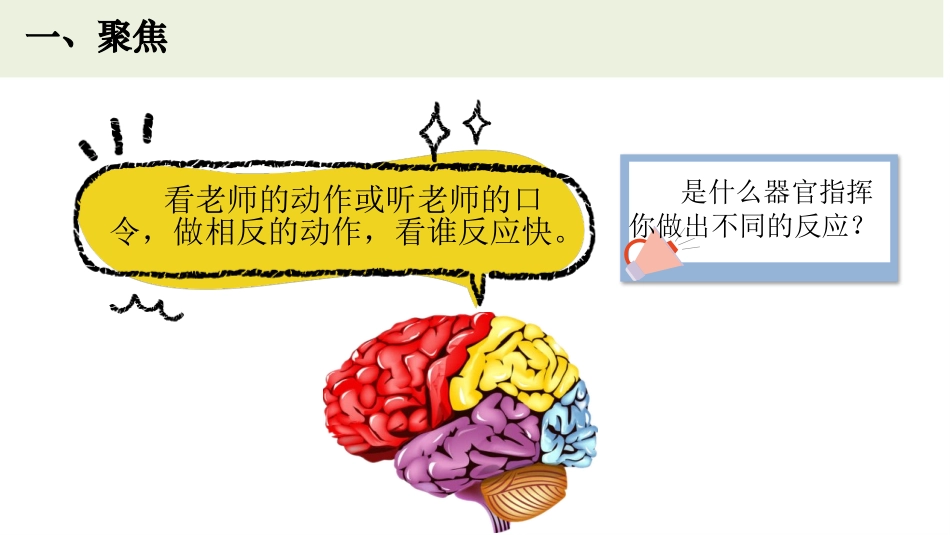 《身体的总指挥》PPT课件[教科版五年级科学上册]_第2页