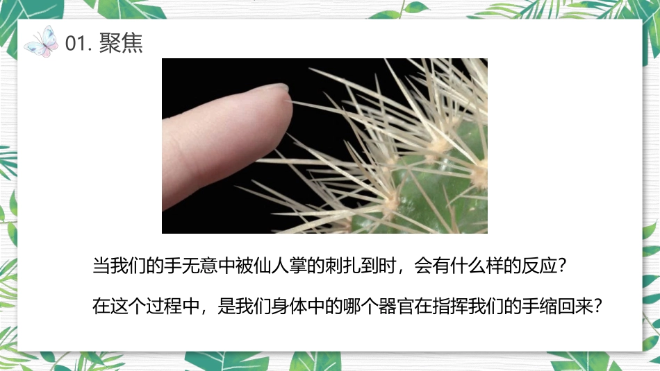 《身体的“联络员”》PPT课件[教科版五年级科学上册]_第2页