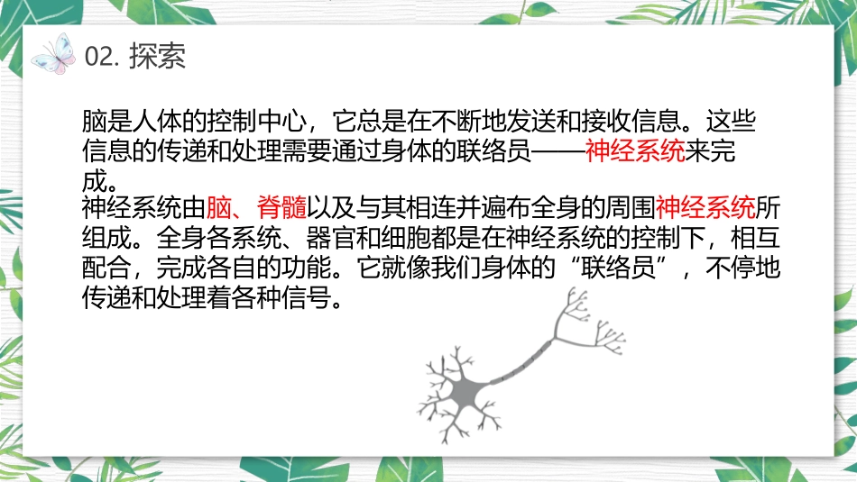 《身体的“联络员”》PPT课件[教科版五年级科学上册]_第3页