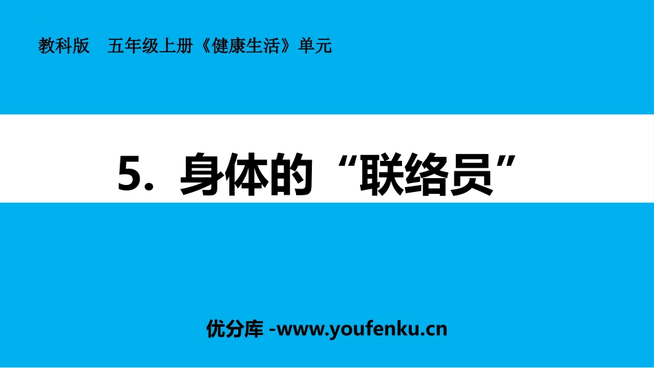 《身体的“联络员”》PPT课件[教科版五年级科学上册]_第1页