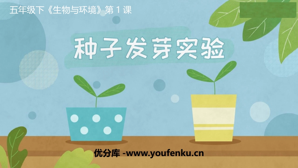 《种子发芽实验》PPT课件[教科版五年级科学下册]_第1页