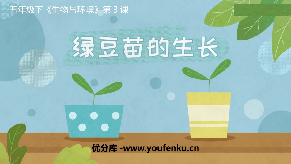 《绿豆苗的生长》PPT课件[教科版五年级科学下册]_第1页