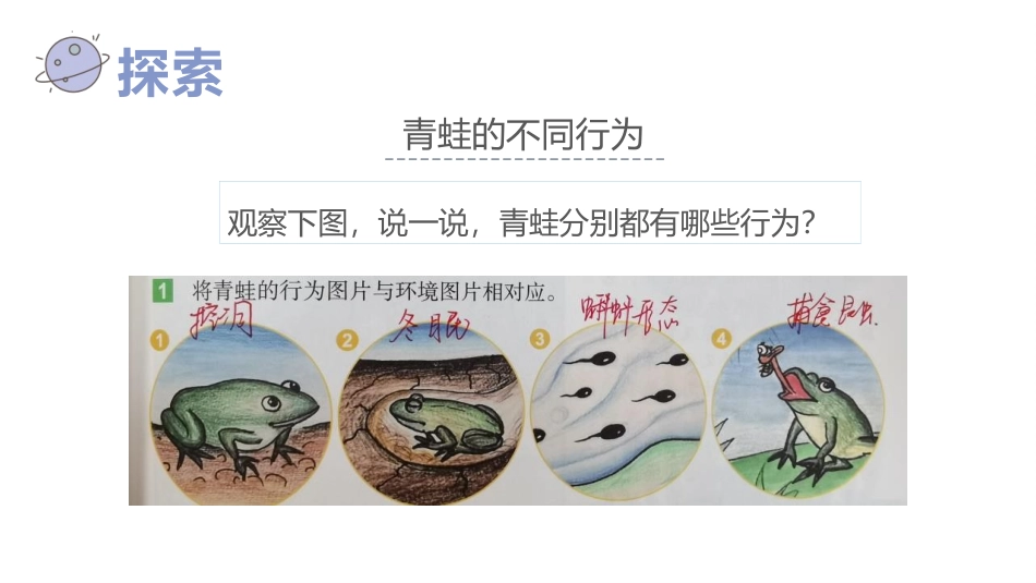 《当环境改变了》PPT课件[教科版五年级科学下册]_第3页