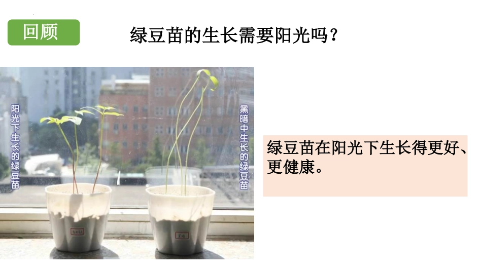 《当环境改变了》PPT课件[教科版五年级科学下册]_第2页