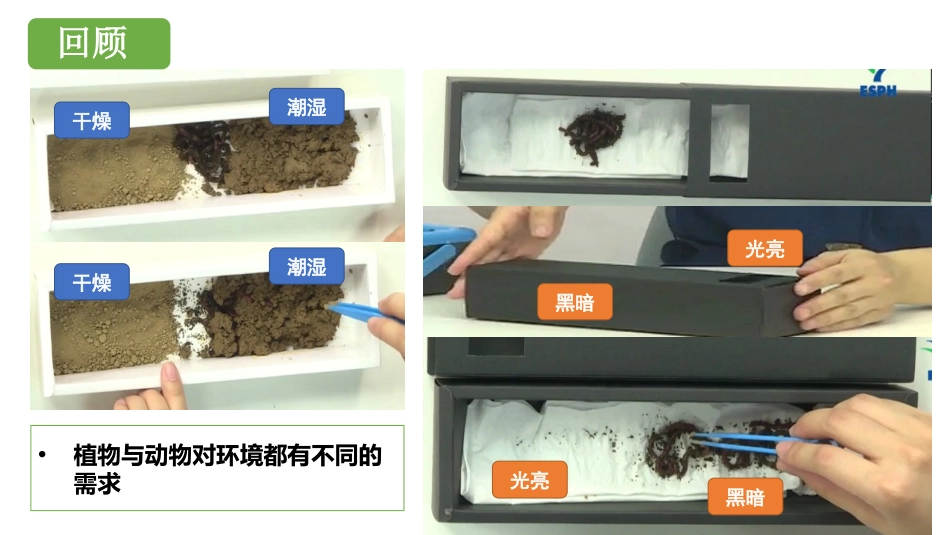 《当环境改变了》PPT课件[教科版五年级科学下册]_第3页