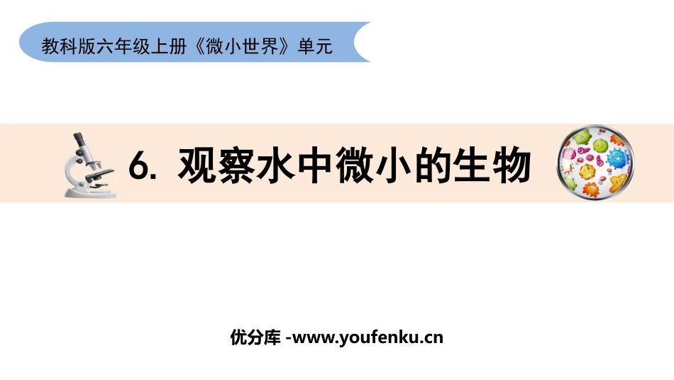 《观察身边微小的物体》PPT课件[教科版六年级科学上册]_第1页