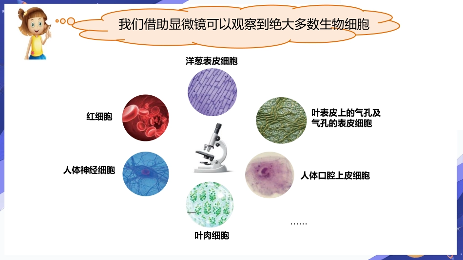 《观察身边微小的物体》PPT课件[教科版六年级科学上册]_第2页