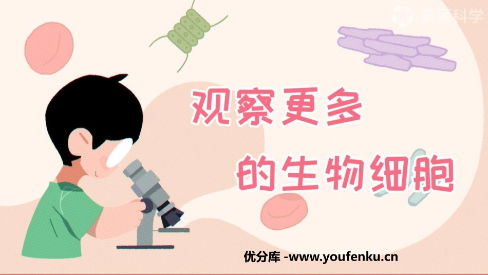 《观察更多的生物细胞》PPT课件[教科版六年级科学上册]_第1页