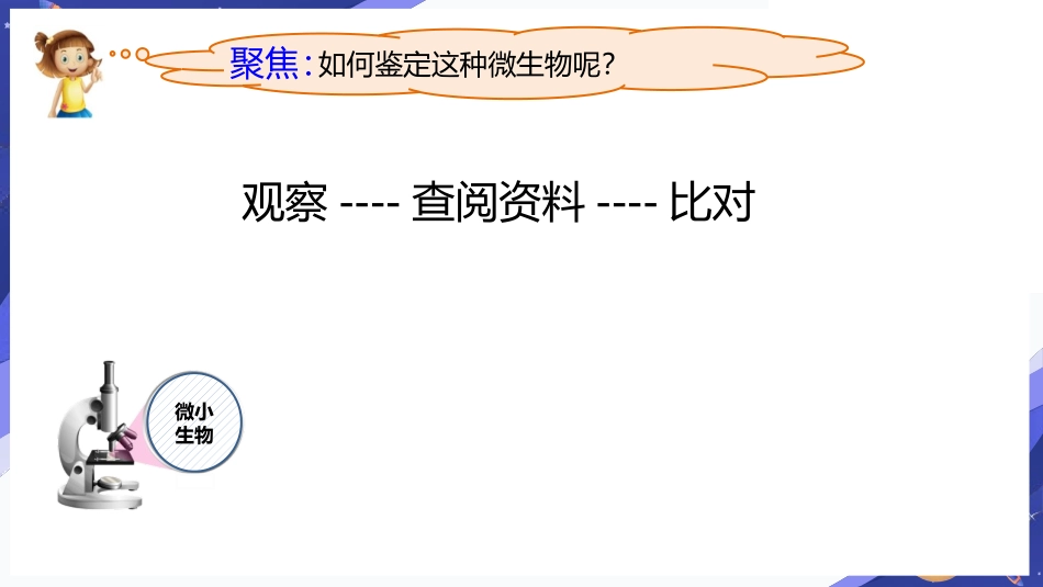 《观察水中微小的生物》PPT课件[教科版六年级科学上册]_第2页