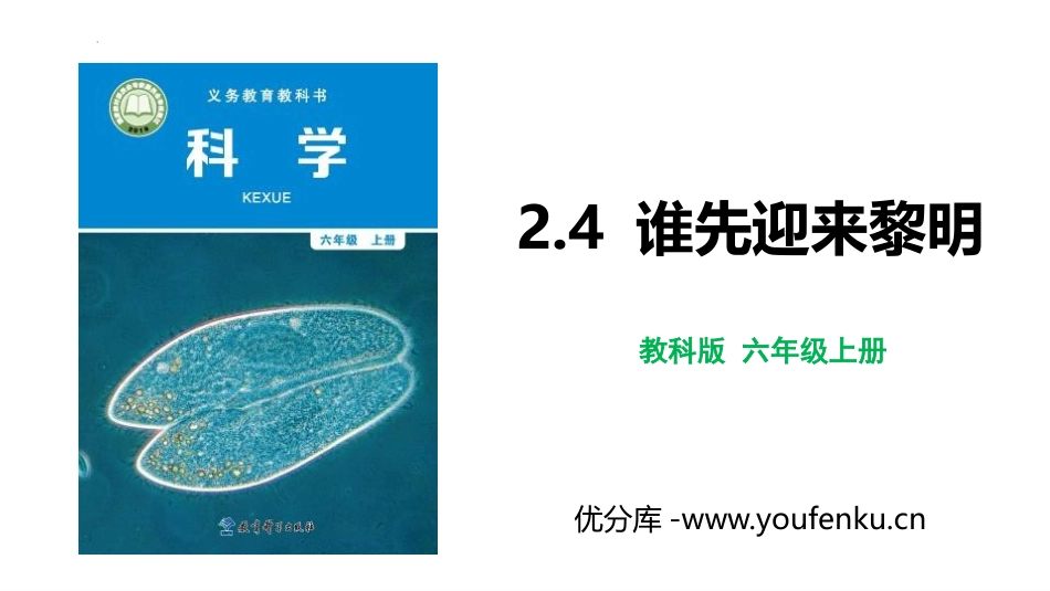 《谁先迎来黎明》PPT课件[教科版六年级科学上册]_第1页