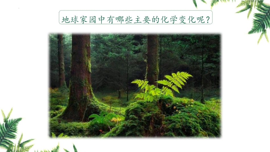 《地球家园的化学变化》PPT课件[教科版六年级科学下册]_第3页