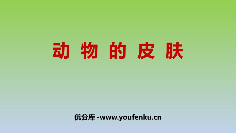 《动物的皮肤》PPT课件[青岛版三年级科学上册]_第1页