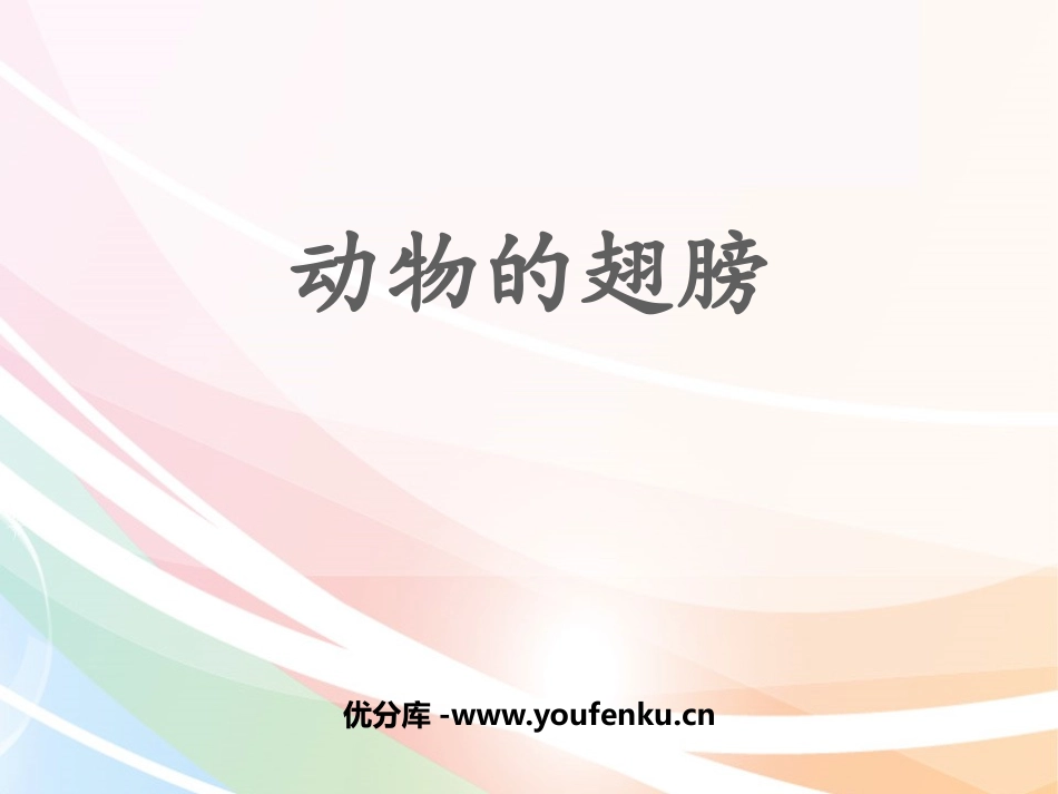 《动物的翅膀》PPT课件[青岛版三年级科学上册]_第1页