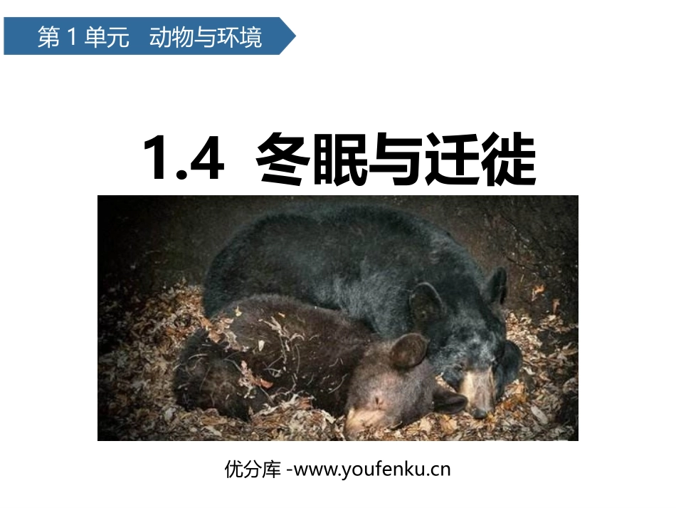 《冬眠与迁徙》PPT课件[青岛版三年级科学上册]_第1页