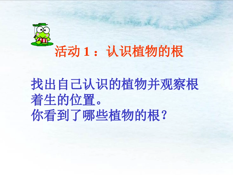 《植物的根》PPT教学课件[青岛版三年级科学上册]_第2页