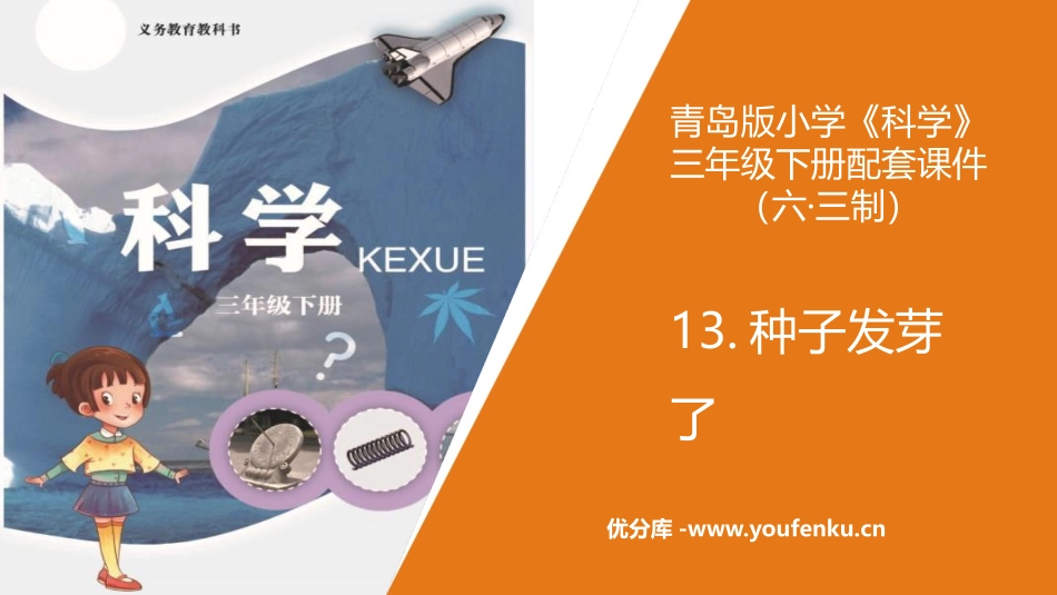 《种子发芽了》PPT课件[青岛版三年级科学上册]_第1页
